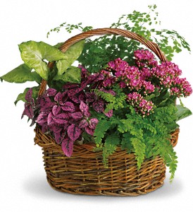 Secret Garden Basket in McDonough GA, Absolutely Flowers