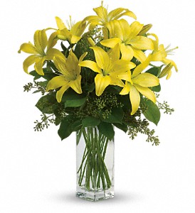 Teleflora's Lily Sunshine in McDonough GA, Absolutely Flowers