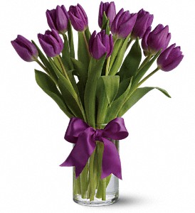 Passionate Purple Tulips in McDonough GA, Absolutely Flowers