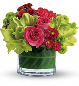 Teleflora's Beauty Secret in McDonough GA, Absolutely and McDonough Flowers & Gifts