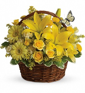 Basket Full of Wishes in McDonough GA, Absolutely and McDonough Flowers & Gifts