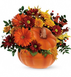 Teleflora's Country Pumpkin in McDonough GA, Absolutely Flowers