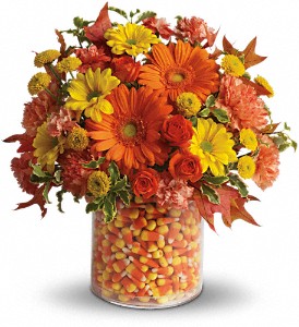 Teleflora's Candy Cornie in McDonough GA, Absolutely Flowers