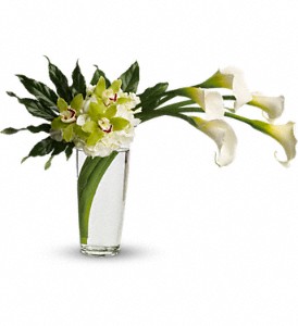 Moondance in McDonough GA, Absolutely and McDonough Flowers & Gifts