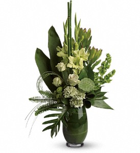 Limelight Bouquet in McDonough GA, Absolutely and McDonough Flowers & Gifts