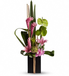 Now and Zen in McDonough GA, Absolutely and McDonough Flowers & Gifts