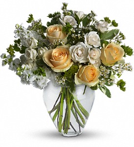 Celestial Love in McDonough GA, Absolutely and McDonough Flowers & Gifts
