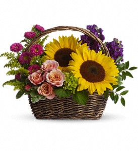 Picnic in the Park in McDonough GA, Absolutely and McDonough Flowers & Gifts