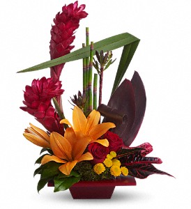 Teleflora's Tropical Bliss in McDonough GA, Absolutely Flowers