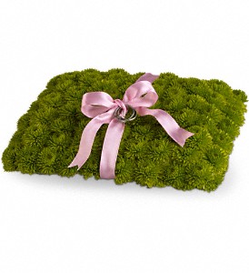 Ringbearer's Pillow in McDonough GA, Absolutely and McDonough Flowers & Gifts