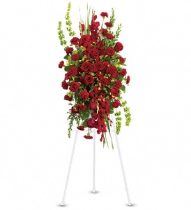 Care and Compassion Spray in McDonough GA, Absolutely Flowers