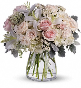 Beautiful Whisper in McDonough GA, Absolutely and McDonough Flowers & Gifts