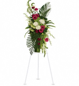 Gerberas and Palms Spray in McDonoughGA, Absolutely Flowers