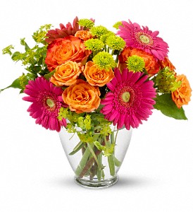 End of the Rainbow in McDonough GA, Absolutely and McDonough Flowers & Gifts