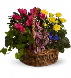 Blooming Garden Basket in McDonough GA, Absolutely and McDonough Flowers & Gifts