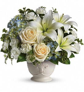 Beautiful Dreams by Teleflora in McDonough GA, Absolutely and McDonough Flowers & Gifts