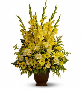 Teleflora's Sunny Memories in McDonough GA, Absolutely Flowers