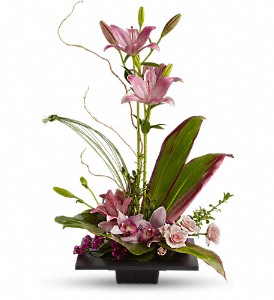 Imagination Blooms with Cymbidium Orchids in McDonough GA, Absolutely and McDonough Flowers & Gifts