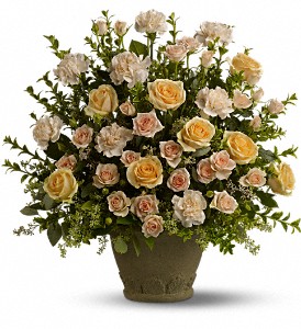 Teleflora's Rose Remembrance in McDonough GA, Absolutely Flowers