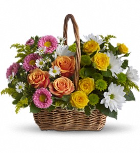 Sweet Tranquility Basket in McDonough GA, Absolutely and McDonough Flowers & Gifts