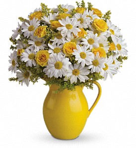Teleflora's Sunny Day Pitcher of Daisies DX in McDonough GA, Absolutely Flowers