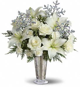Teleflora's Winter Glow DX in McDonough GA, Absolutely Flowers