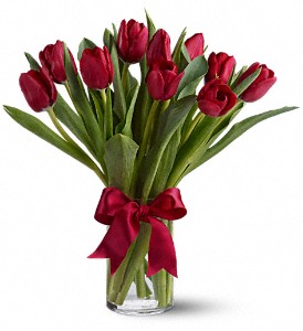Radiantly Red Tulips in McDonough GA, Absolutely Flowers