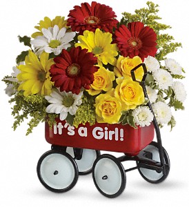 Baby's Wow Wagon by Teleflora - Girl in McDonough GA, Absolutely and McDonough Flowers & Gifts