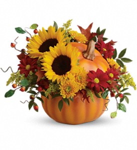 Teleflora's Pretty Pumpkin Bouquet in McDonough GA, Absolutely Flowers