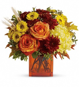 Teleflora's Autumn Expression in McDonough GA, Absolutely Flowers