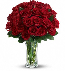 Love and Devotion - Long Stemmed Red Roses in McDonough GA, Absolutely Flowers