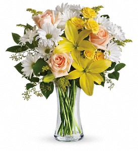 Teleflora's Daisies and Sunbeams in McDonough GA, Absolutely and McDonough Flowers & Gifts