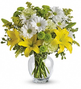 Teleflora's Brightly Blooming in McDonough GA, Absolutely and McDonough Flowers & Gifts
