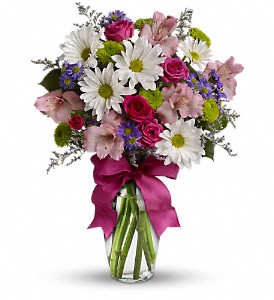 Pretty Please in McDonough GA, Absolutely and McDonough Flowers & Gifts