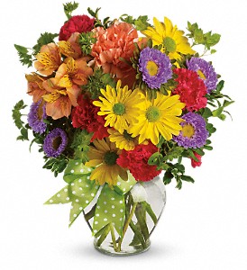 Make a Wish in McDonough GA, Absolutely and McDonough Flowers & Gifts