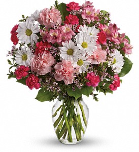 Teleflora's Sweet Tenderness in McDonough GA, Absolutely and McDonough Flowers & Gifts