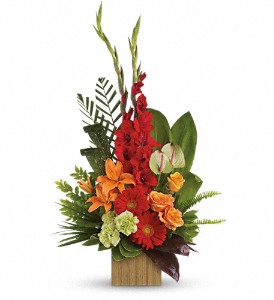 Heart's Companion Bouquet by Teleflora in McDonough GA, Absolutely and McDonough Flowers & Gifts