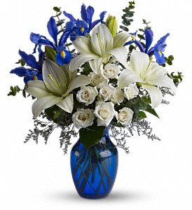 Blue Horizons in McDonough GA, Absolutely and McDonough Flowers & Gifts