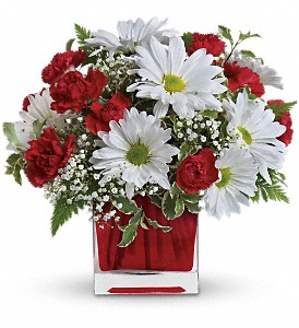 Red And White Delight by Teleflora in McDonough GA, Absolutely and McDonough Flowers & Gifts