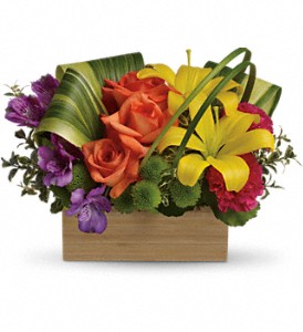 Teleflora's Shades Of Brilliance Bouquet in McDonough GA, Absolutely and McDonough Flowers & Gifts