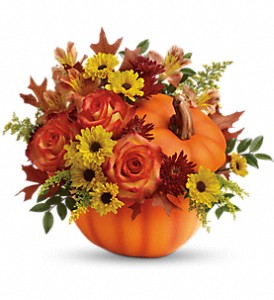Teleflora's Warm Fall Wishes Bouquet in McDonough GA, Absolutely Flowers