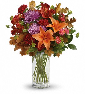 Teleflora's Fall Brights Bouquet in McDonough GA, Absolutely Flowers