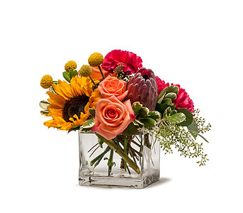 Flower Fun in McDonough GA, Absolutely Flowers