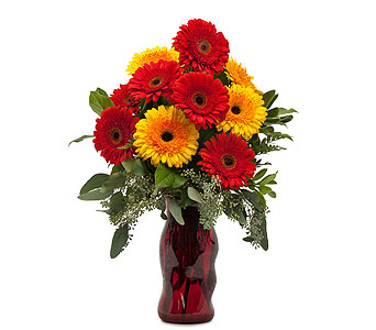 Mighty Gerberas in McDonough GA, Absolutely Flowers