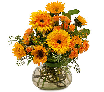 Sunflower Delight in McDonough GA, Absolutely Flowers