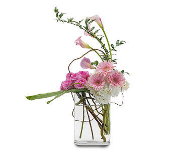 Livia in McDonough GA, Absolutely Flowers