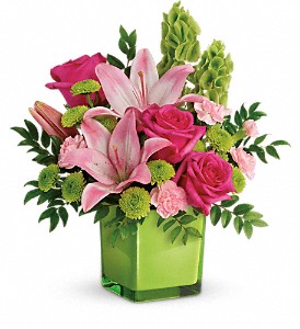 Teleflora's In Love With Lime Bouquet in McDonough GA, Absolutely and McDonough Flowers & Gifts