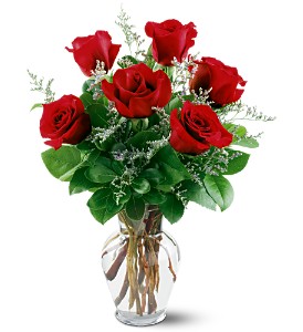 6 Red Roses in McDonough GA, Absolutely and McDonough Flowers & Gifts
