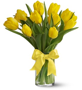 Teleflora's Sunny Yellow Tulips in McDonoughGA, Absolutely Flowers