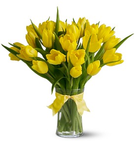 Spring Tulips Deluxe - Yellow in McDonoughGA, Absolutely Flowers